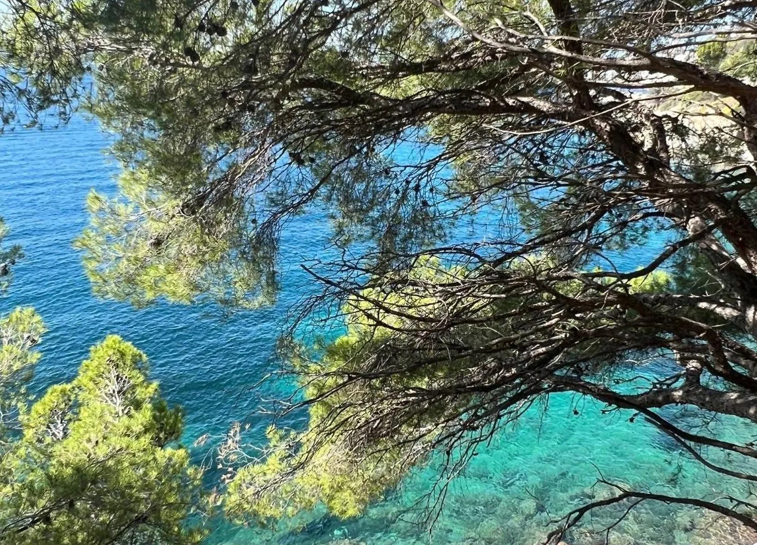 Апартаменты Almadrava Dream: Costa Brava Росас